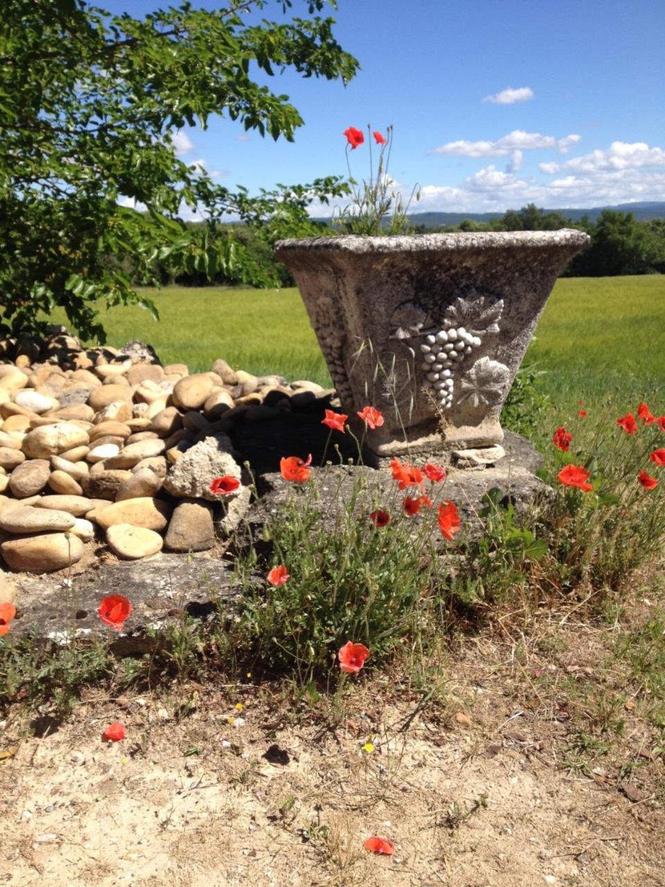 La Salamandre Bleue Villa Chantemerle-lès-Grignan Buitenkant foto